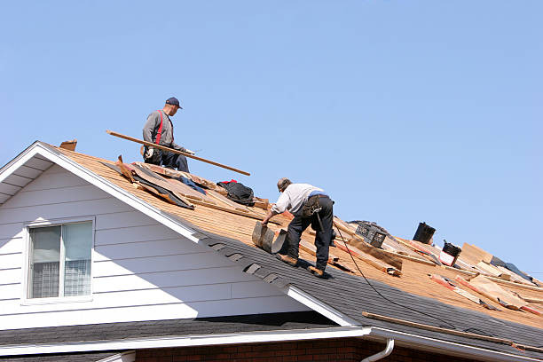 Skylights in Crystal Lake, FL